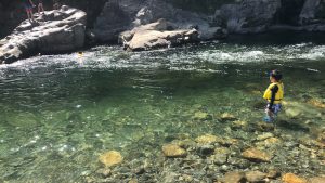 ZY-Photo-2019-08-14-00000140